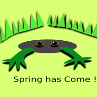 Frog has come !