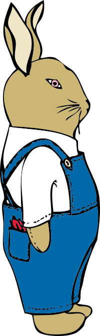 bunny in overalls