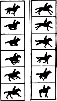 Horse Animation Frames