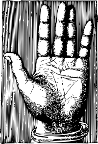 Detailed Palm for Palm Reading
