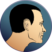 Man's Head Profile