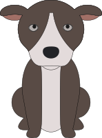 Pit Bull Puppy