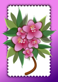 Pink flowers