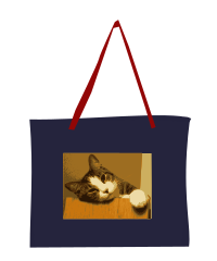 Tote-bag 02