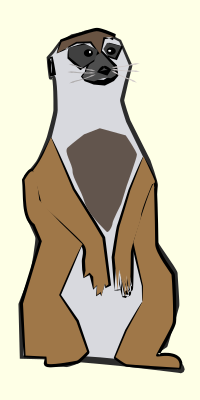 Meerkat 01