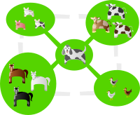 distributed and decentralized
