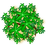 tree-26