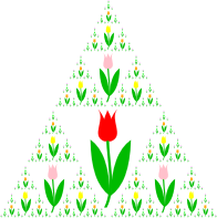 Tulip Fractal