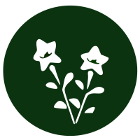 Flower-bell flower