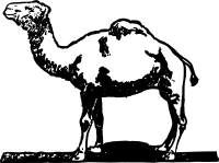 Simple Camel