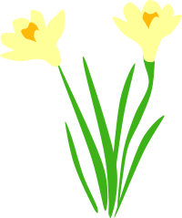 Daffodils are up!