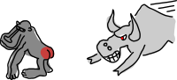 Baboon and bull