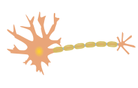 single-neuron