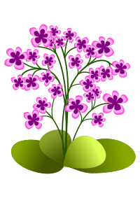 Small flowers