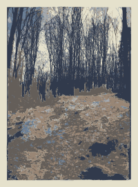 Forest photo(s) from Lichtscheid, Wuppertal 2