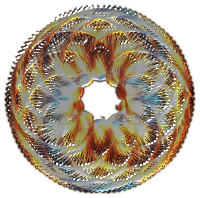 Colorful Spirograph Variation 2