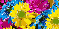 upload +autotrace test