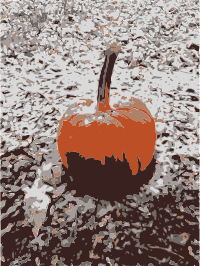 Snowy Pumpkin Take 2