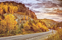 Road In The Mountains