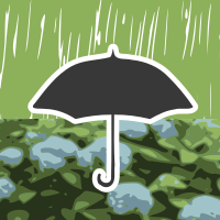 Rain-hydrangea