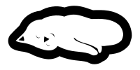 Cat-sleeping