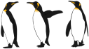Three King Penguins