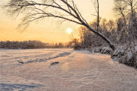 Winter Evening