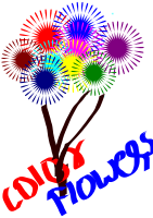 coloured flowers