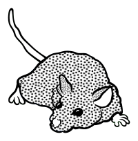 mouse - lineart