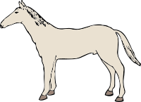 horse