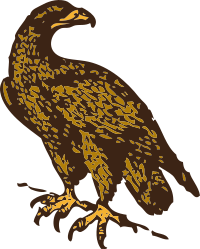 golden eagle