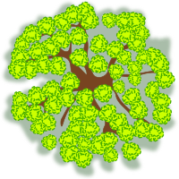 tree-27a