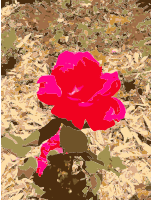 Painted Anniversary Flower
