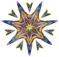 Star Flower