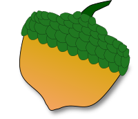 Acorn