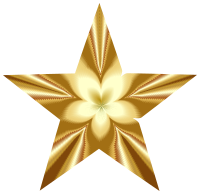 Golden Star Blossom