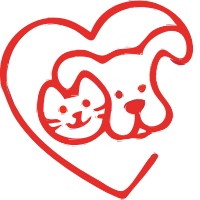 love animals
