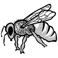 Bee (lineart)