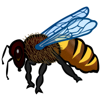 Bee (colour)