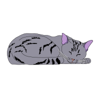 Cat Pose Center