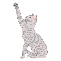 Cat Pose Side