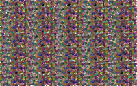 Triangular Psychosis 3