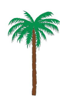 Palm Tree