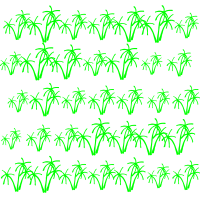 Palm Tree Pattern
