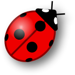 Ladybug