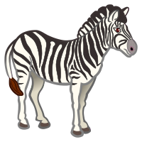 zebra - coloured