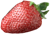 Polygonal Strawberry