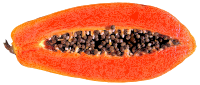 Papaya