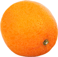 Orange Citrus