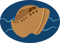 Noah's Ark